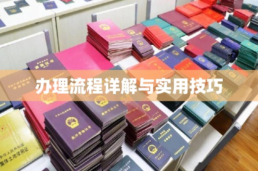 菏泽办理流程详解与实用技巧