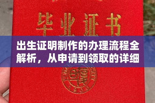 菏泽出生证明制作的办理流程全解析，从申请到领取的详细指南