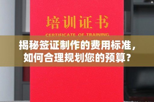 菏泽揭秘签证制作的费用标准，如何合理规划您的预算？