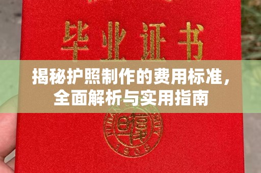 菏泽揭秘护照制作的费用标准，全面解析与实用指南