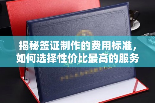 菏泽揭秘签证制作的费用标准，如何选择性价比最高的服务？