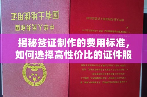 菏泽揭秘签证制作的费用标准，如何选择高性价比的证件服务
