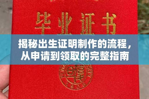 菏泽揭秘出生证明制作的流程，从申请到领取的完整指南