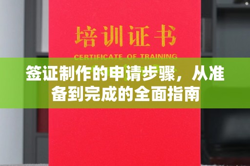 菏泽签证制作的申请步骤，从准备到完成的全面指南