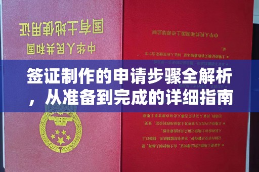 菏泽签证制作的申请步骤全解析，从准备到完成的详细指南
