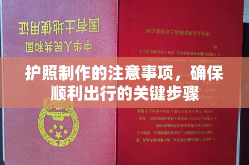 菏泽护照制作的注意事项，确保顺利出行的关键步骤