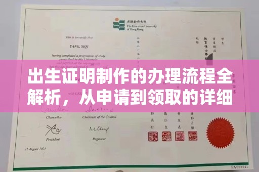 菏泽出生证明制作的办理流程全解析，从申请到领取的详细指南