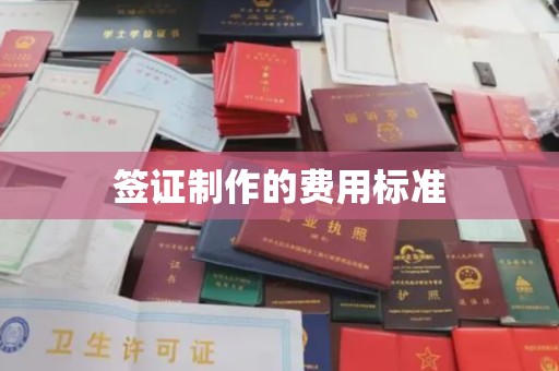 菏泽签证制作的费用标准