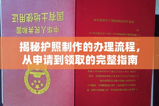 菏泽揭秘护照制作的办理流程，从申请到领取的完整指南