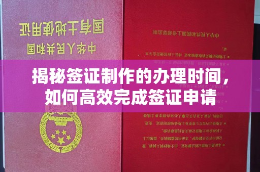 菏泽揭秘签证制作的办理时间，如何高效完成签证申请