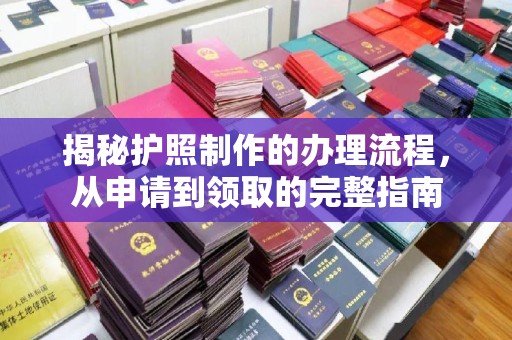 菏泽揭秘护照制作的办理流程，从申请到领取的完整指南