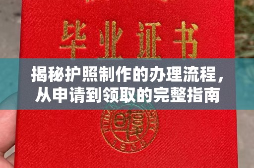 菏泽揭秘护照制作的办理流程，从申请到领取的完整指南