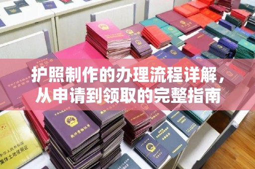 菏泽护照制作的办理流程详解，从申请到领取的完整指南