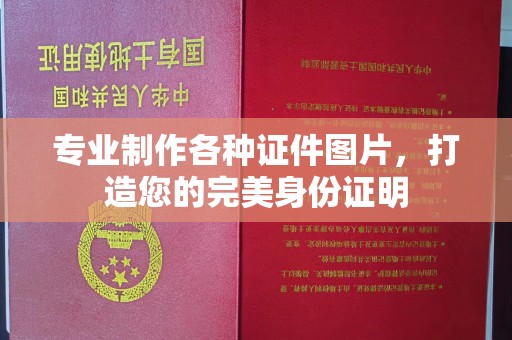 菏泽专业制作各种证件图片，打造您的完美身份证明