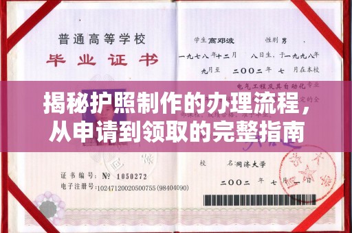 菏泽揭秘护照制作的办理流程，从申请到领取的完整指南