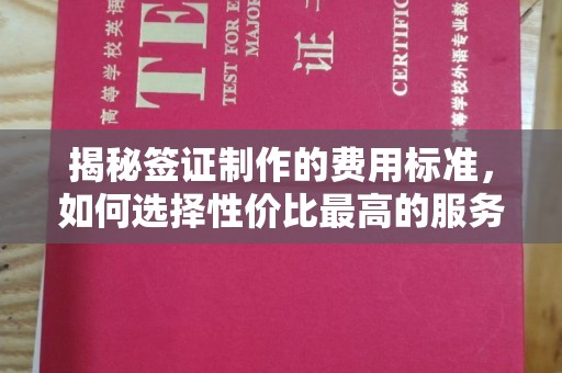 菏泽揭秘签证制作的费用标准，如何选择性价比最高的服务？