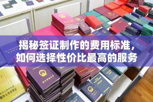 菏泽揭秘签证制作的费用标准，如何选择性价比最高的服务？