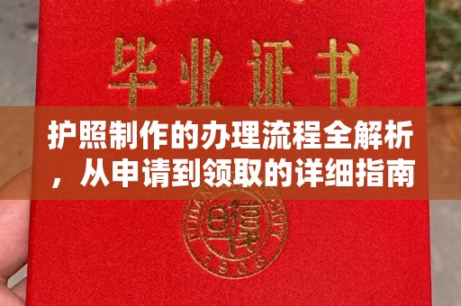 菏泽护照制作的办理流程全解析，从申请到领取的详细指南