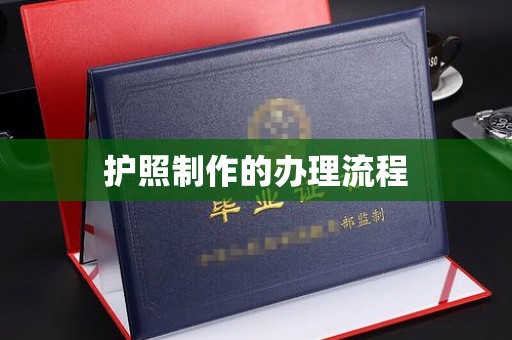菏泽护照制作的办理流程
