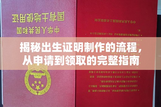 菏泽揭秘出生证明制作的流程，从申请到领取的完整指南