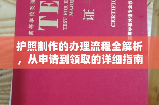 菏泽护照制作的办理流程全解析，从申请到领取的详细指南
